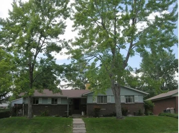 tree removal lakewood co