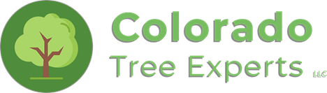 Colorado Tree Experts LLC