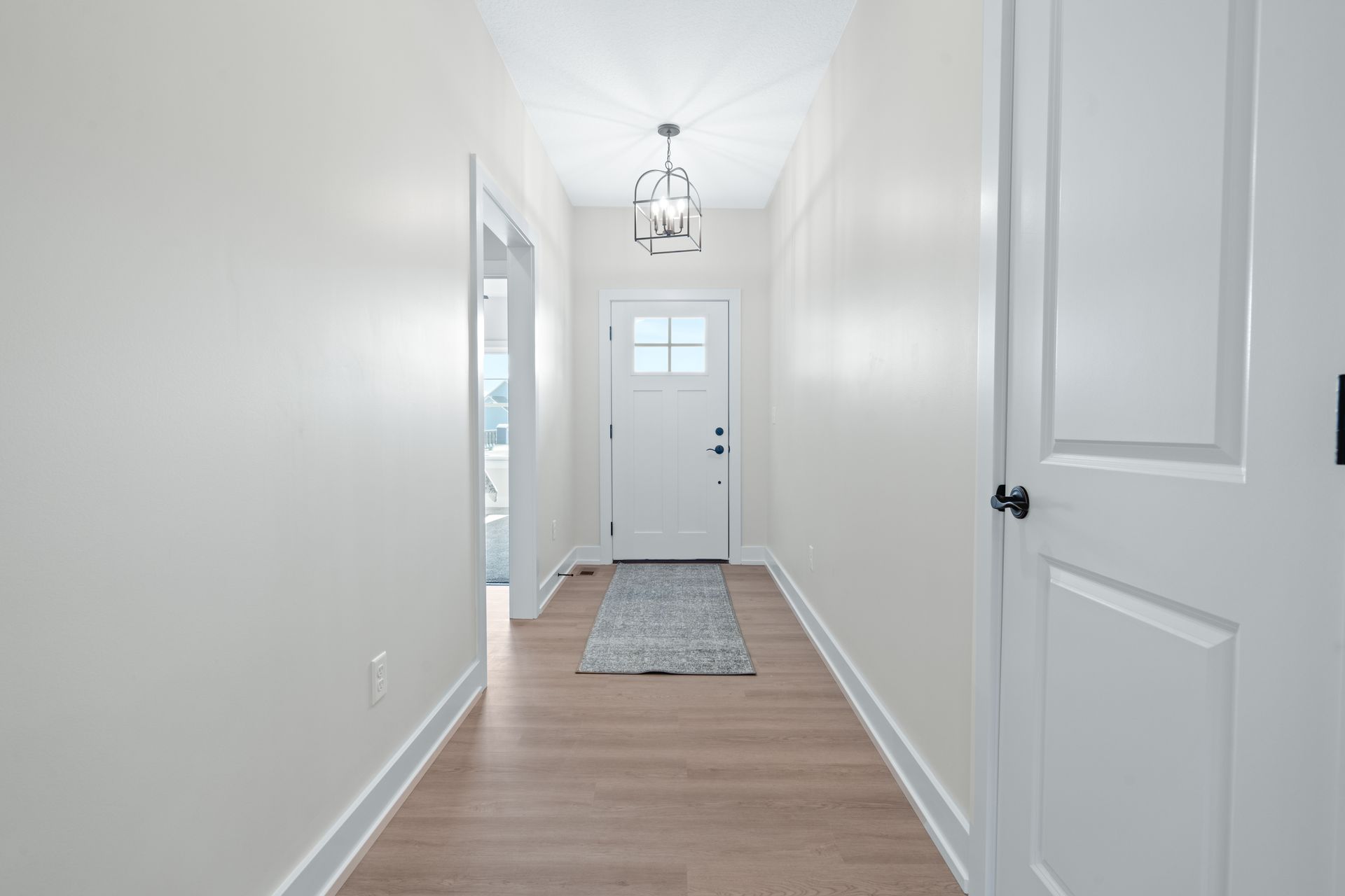 A hallway in a house with a white door and a rug.