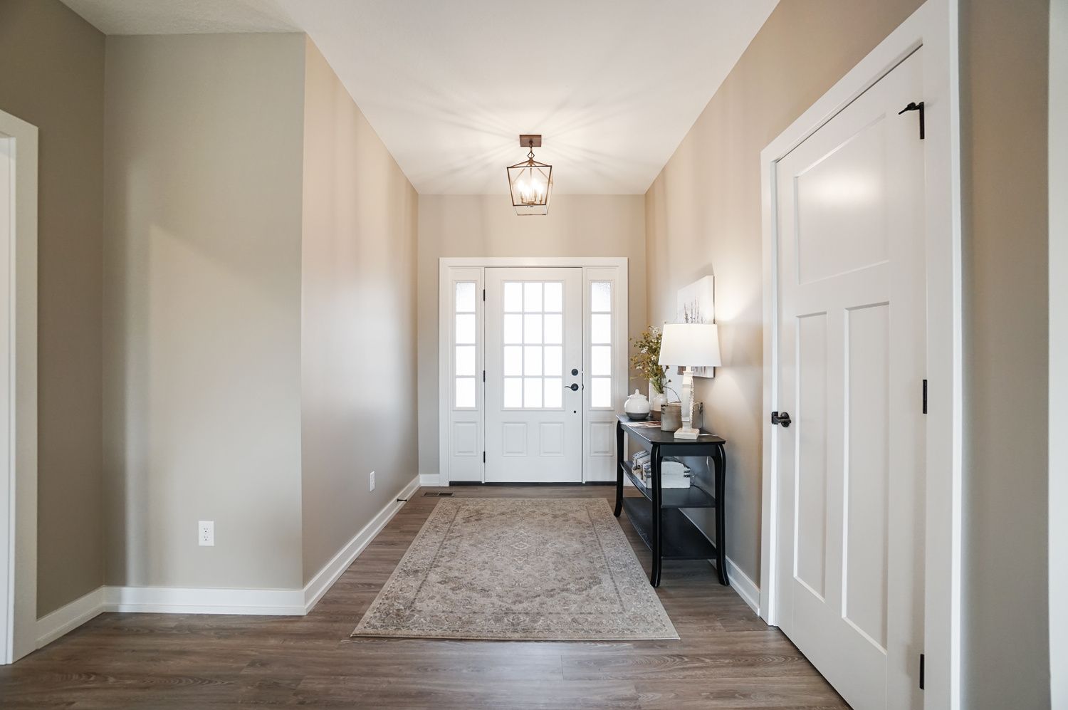A hallway in a house with a white door and a rug.