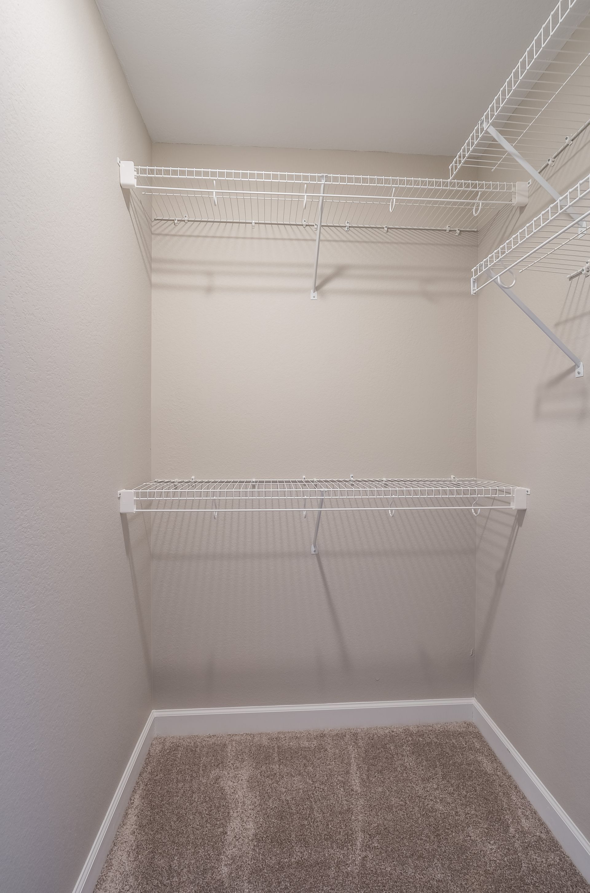 An empty walk in closet with a carpeted floor and wire shelves.