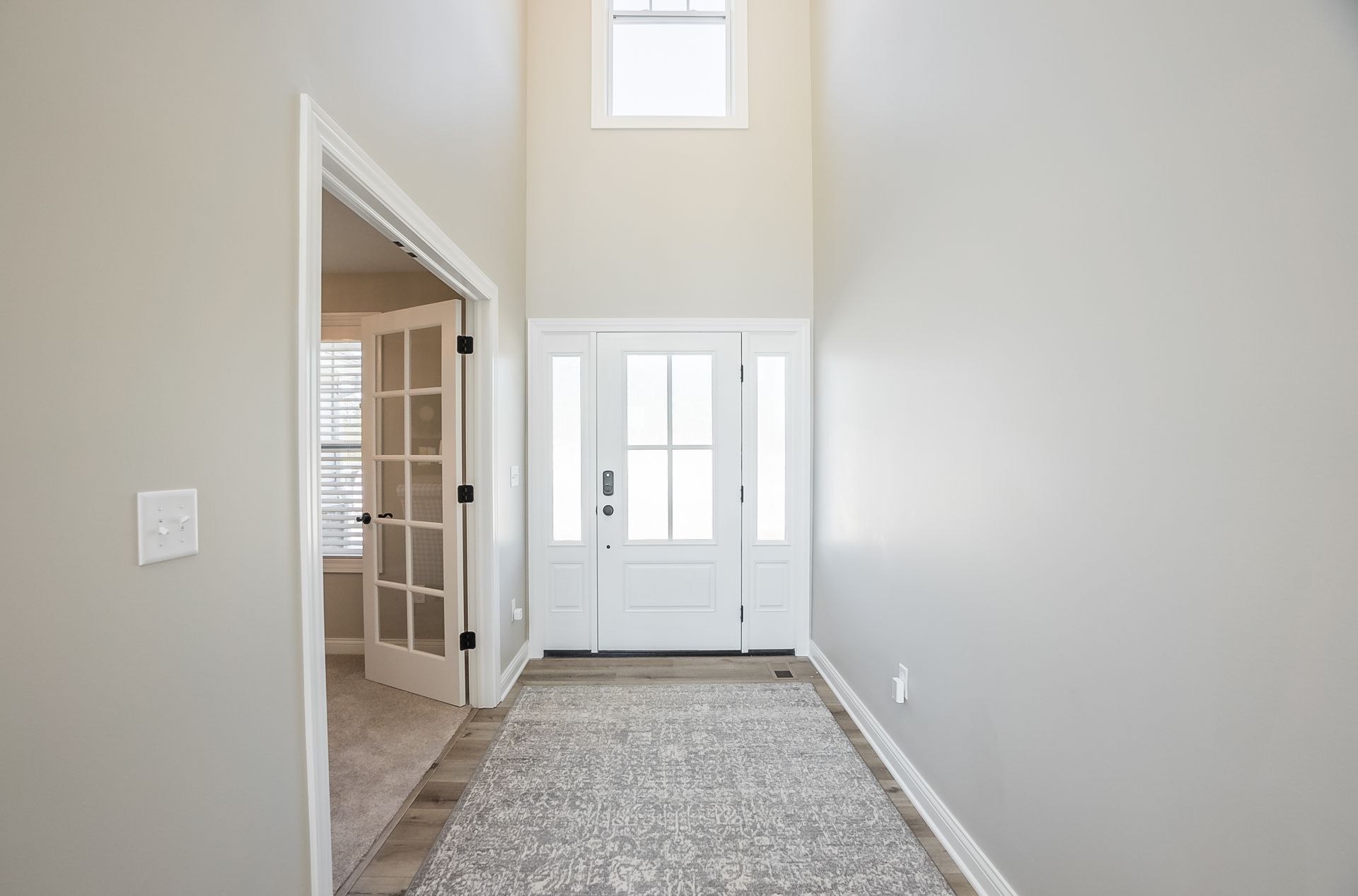 A hallway in a house with a white door and a rug.