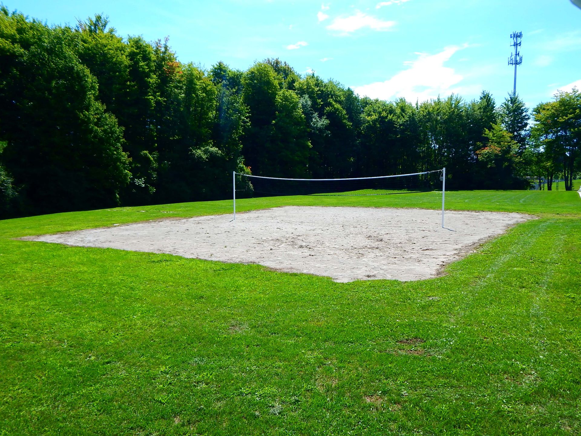 A volleyball court in a grassy field with trees in the background