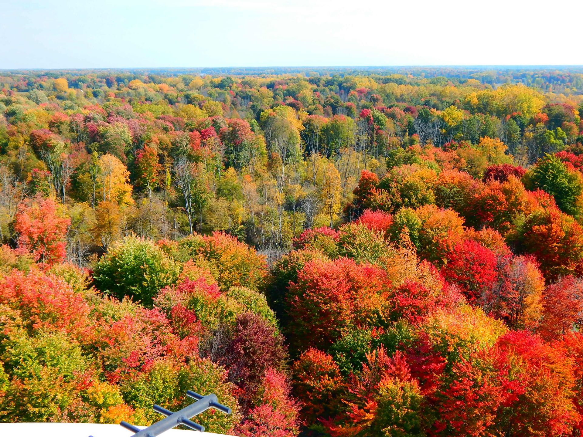 An aerial view of a forest with colorful leaves.