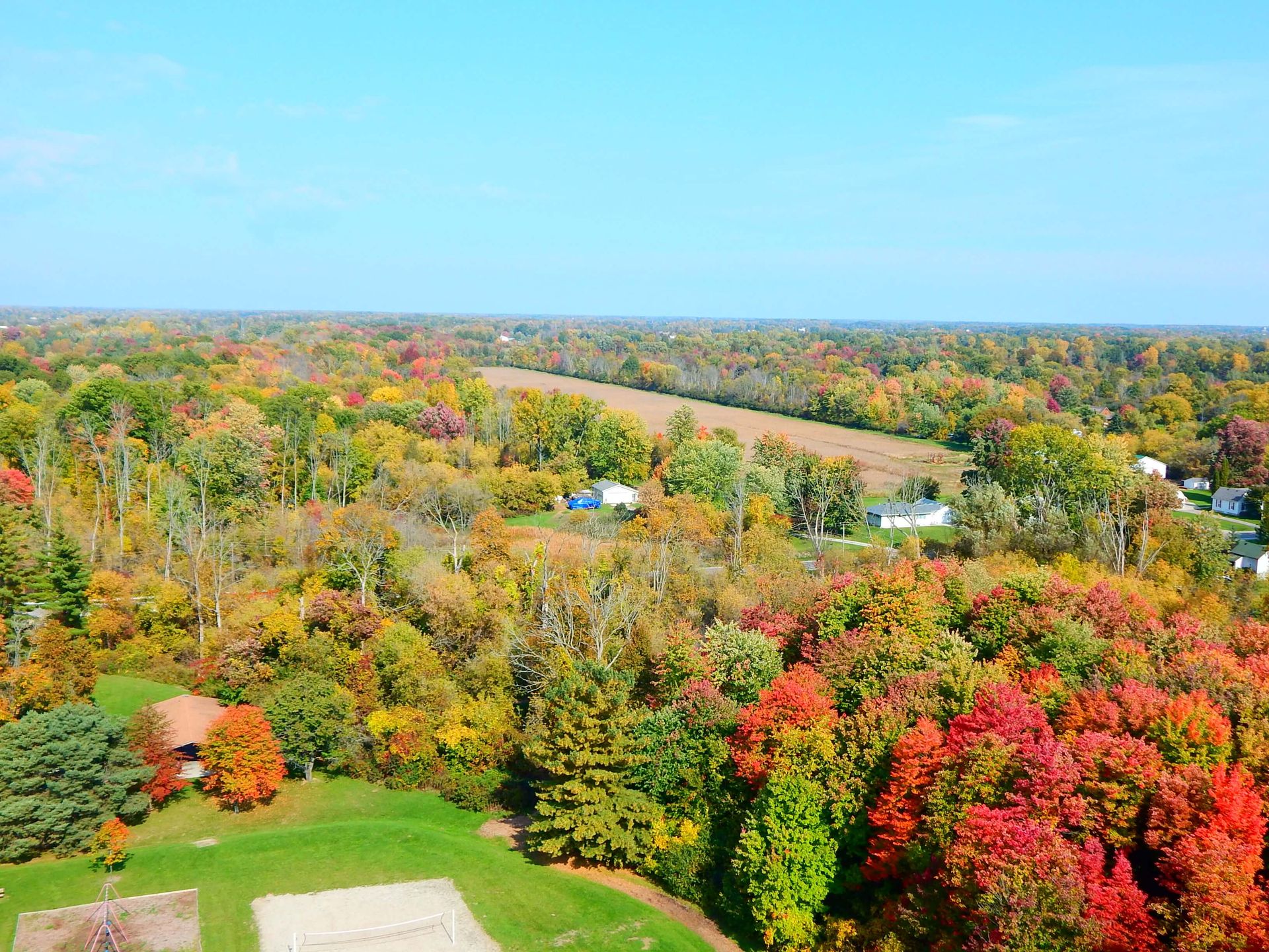 An aerial view of a lush green forest with a volleyball court in the foreground.