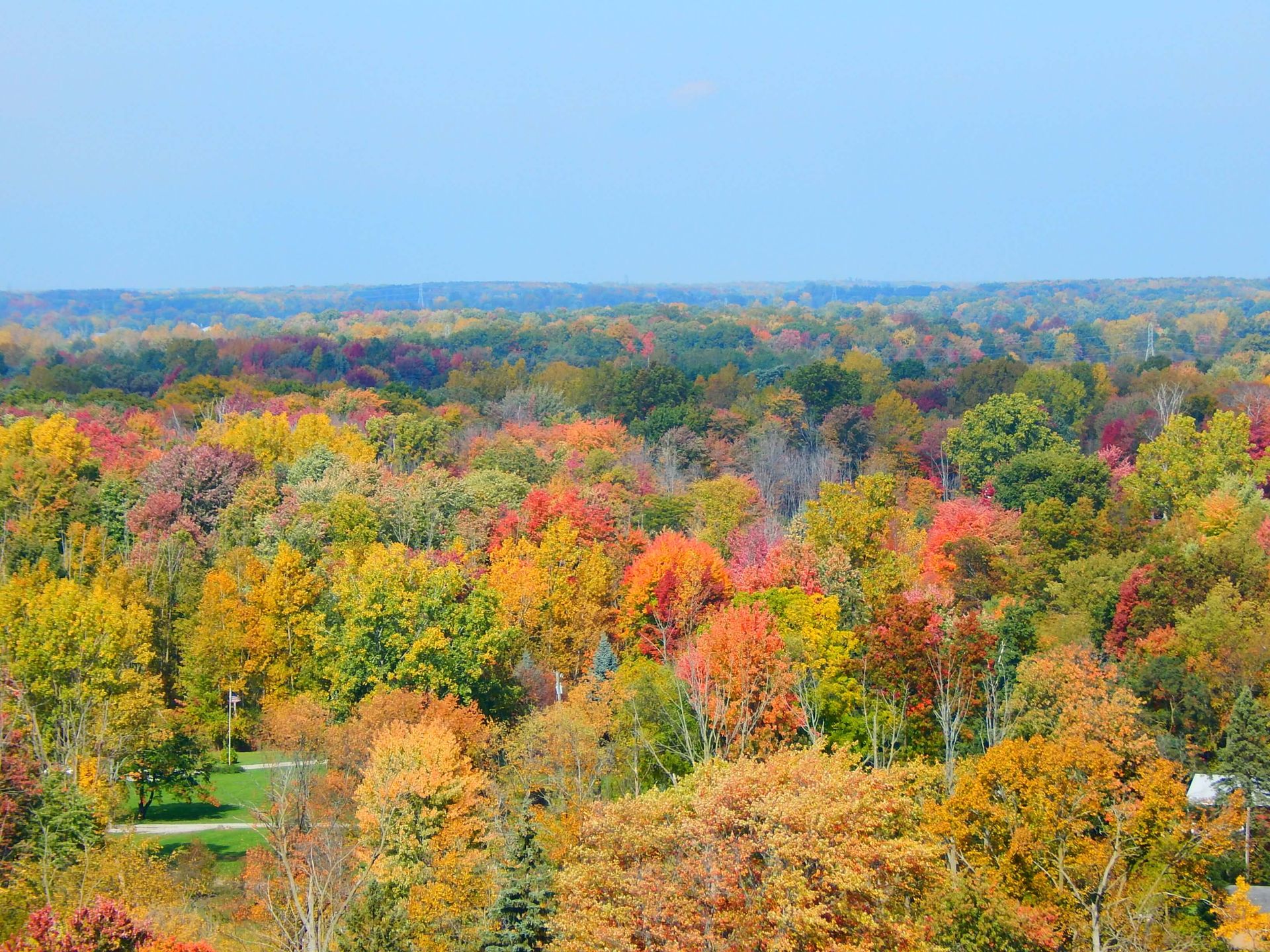 An aerial view of a forest with trees that are changing colors.