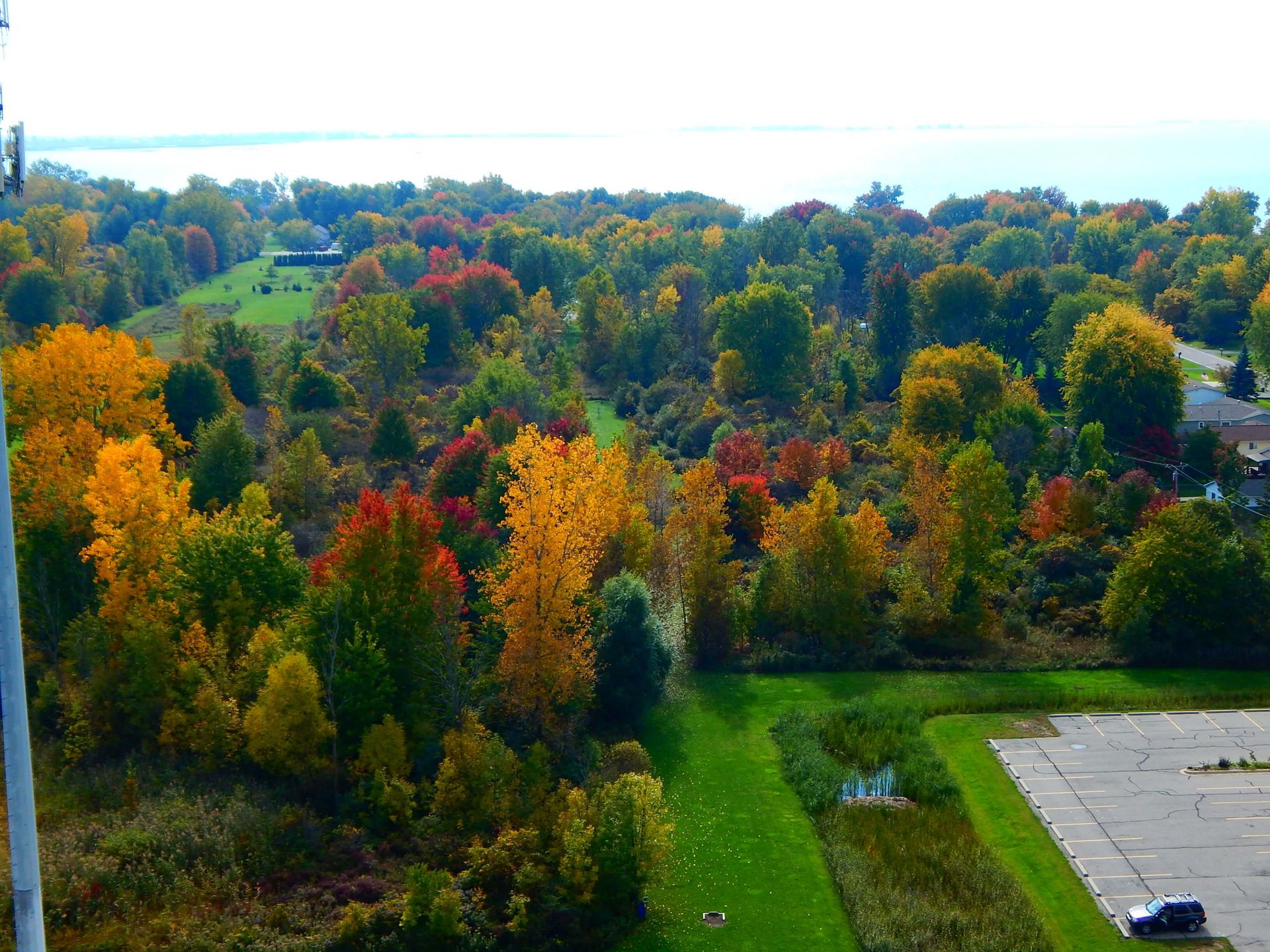 A car is parked in a parking lot in front of a forest.