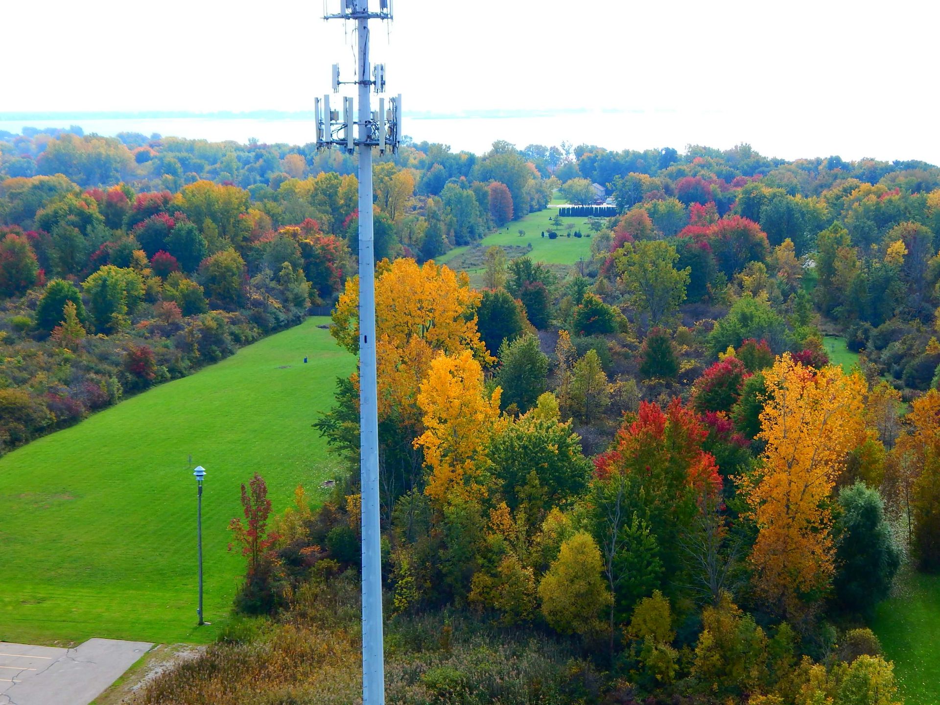 A telephone pole in the middle of a field with trees in the background.