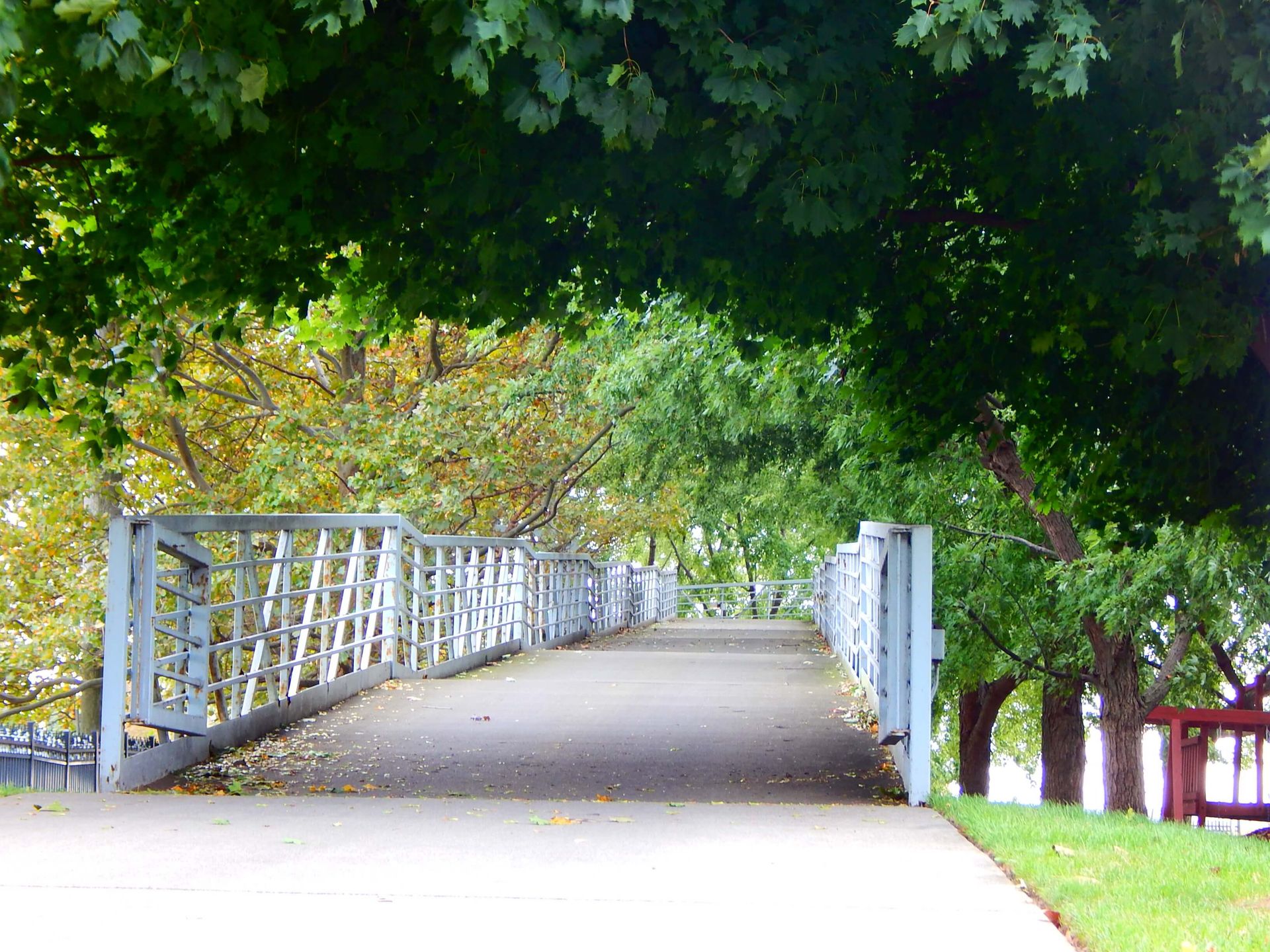 A bridge in a park with trees on both sides.
