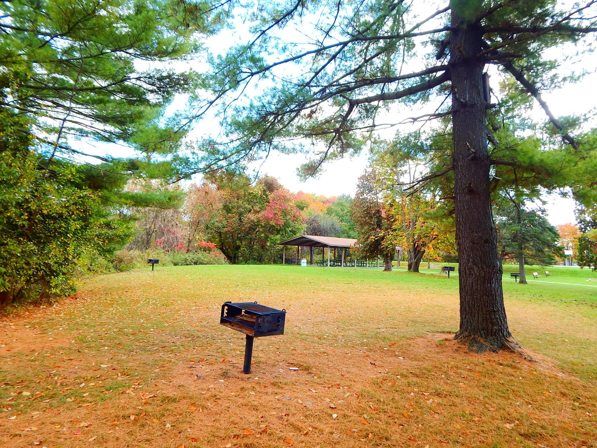 A mailbox sits in the middle of a field in a park.