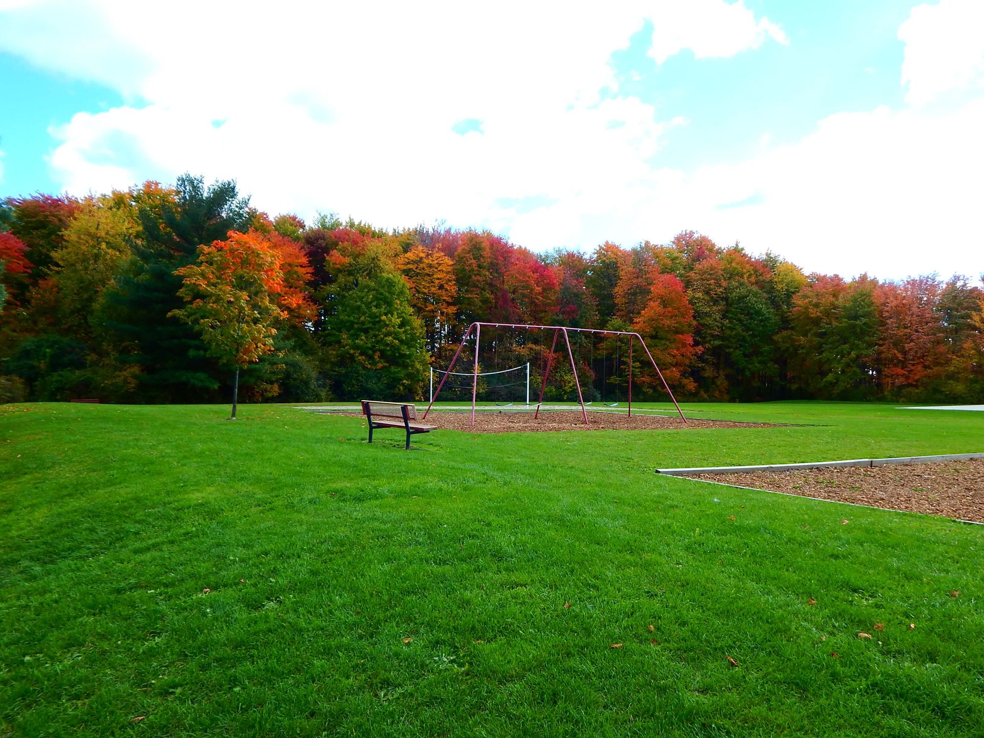 A park with trees in the background and a bench in the foreground.