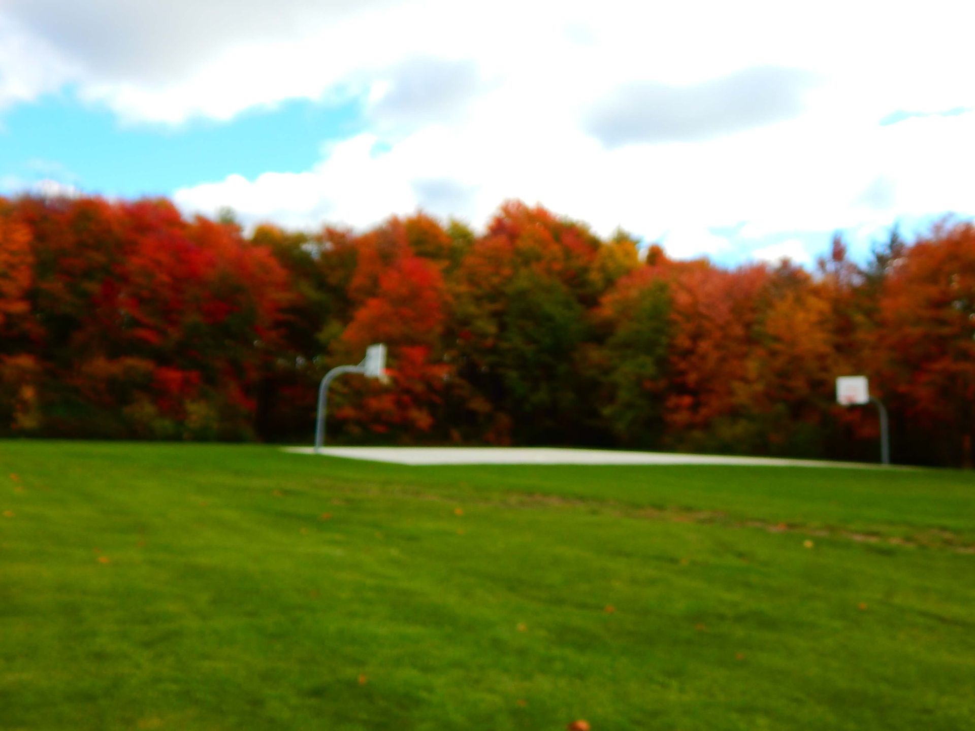 A basketball court in a park with trees in the background.