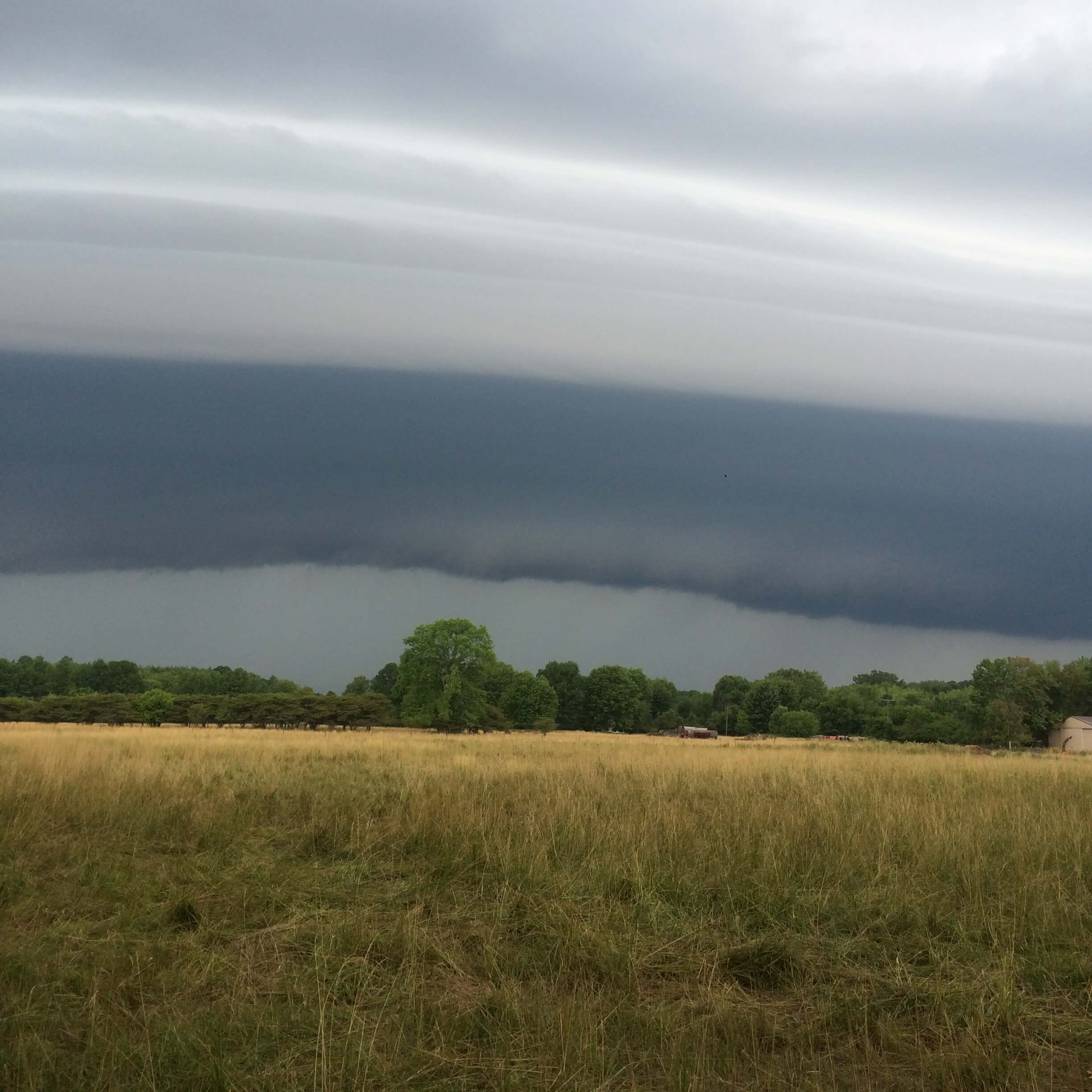 A cloudy sky over a grassy field with trees in the background.
