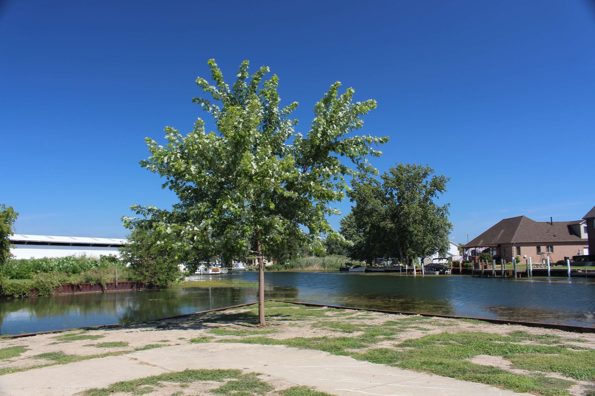 A lake with a house in the background and a tree in the foreground.
