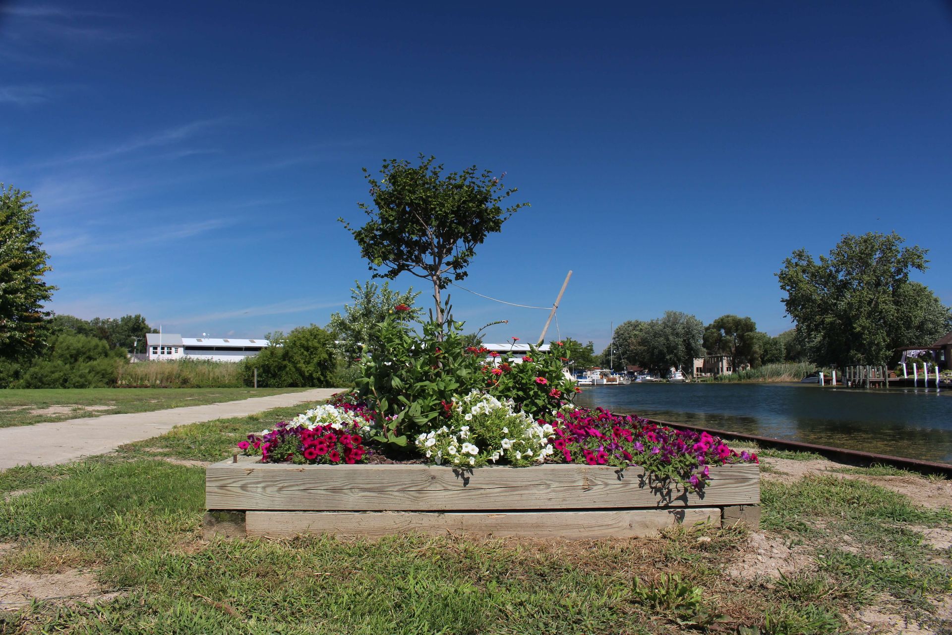 A wooden planter with flowers and a tree in it.