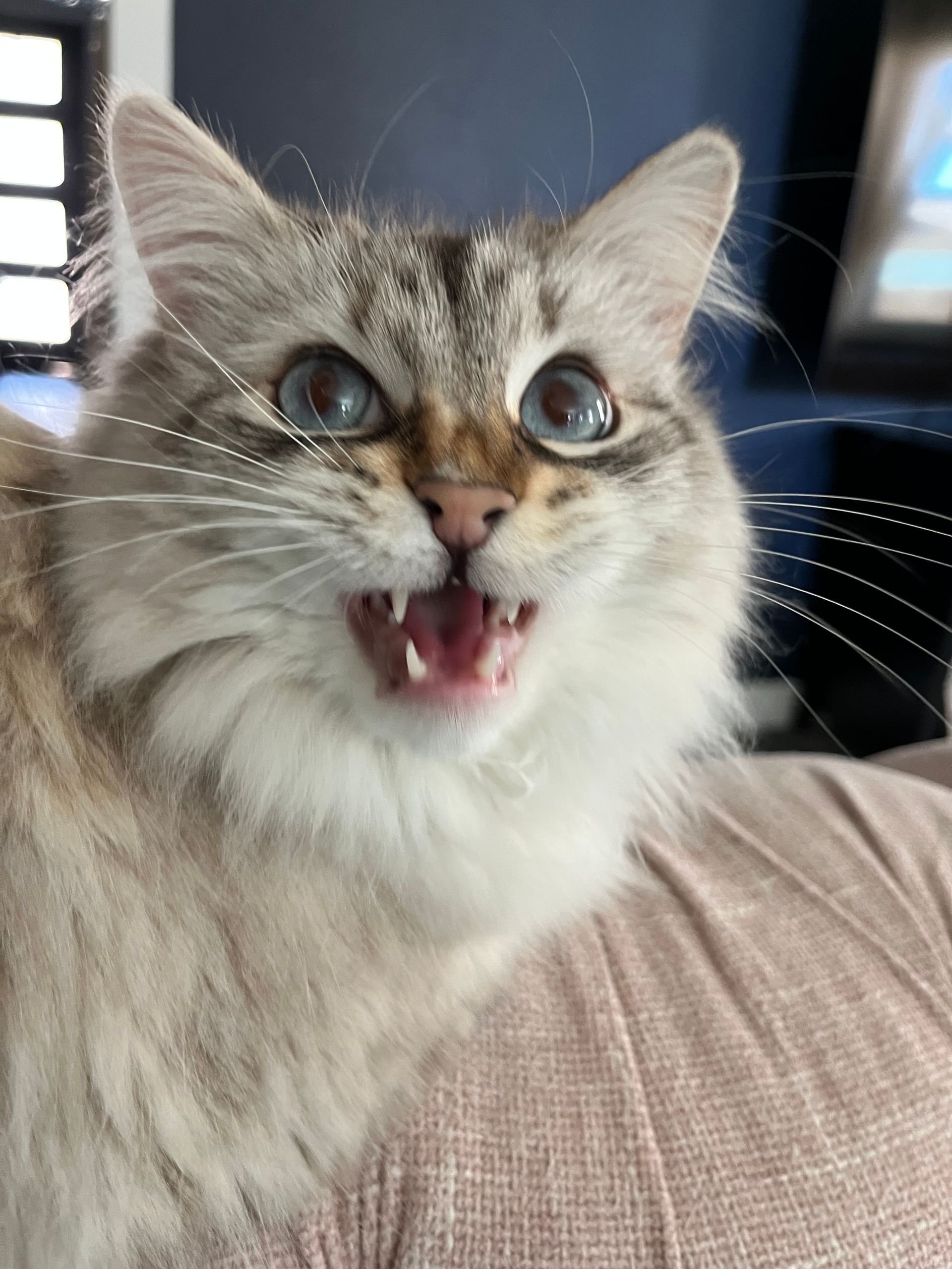 group of people sitting at a table looking at a computer screen