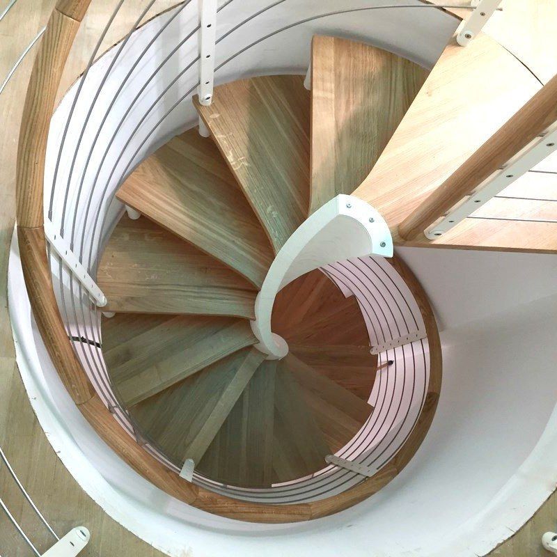 ELICOIDALE DOPPIA / MELANIA TONDA