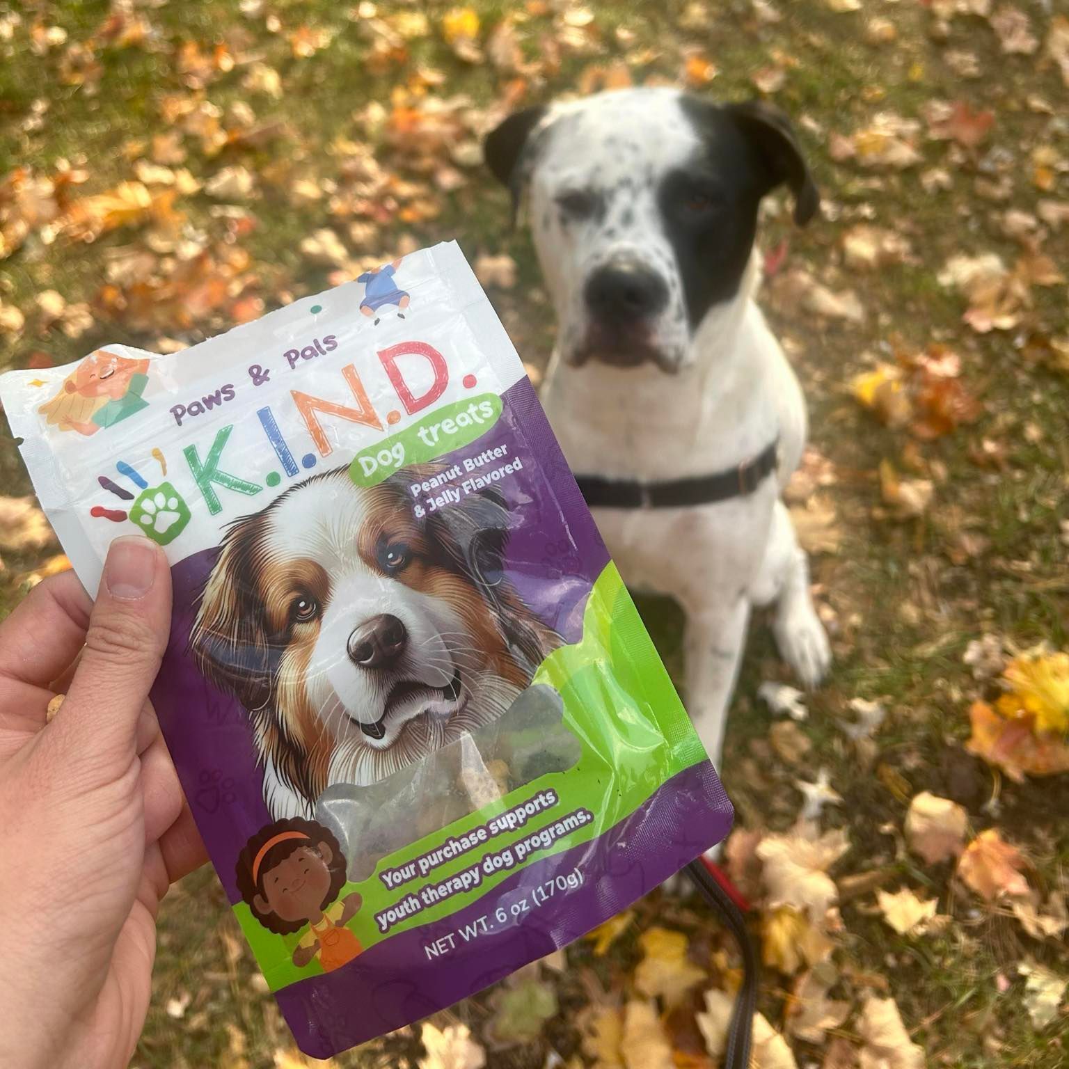 A person is holding a bag of kind dog treats in front of a dog.