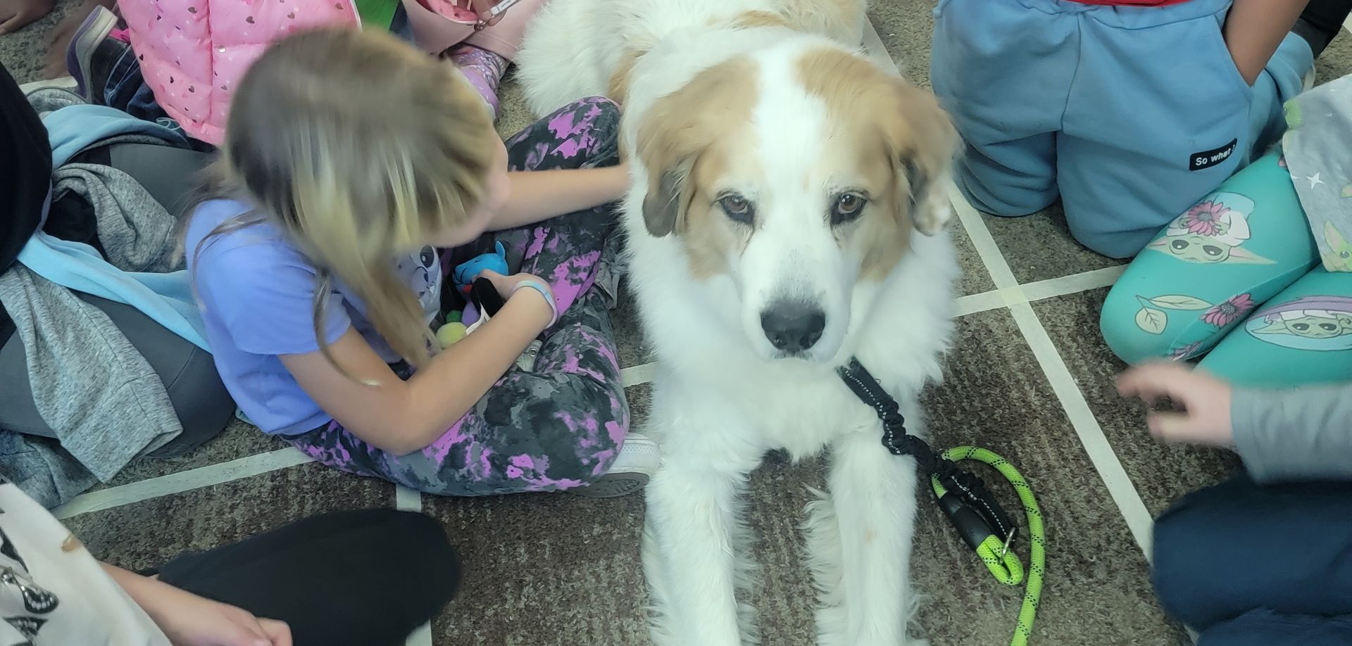 A group of children are sitting on the floor with a brown and white dog.