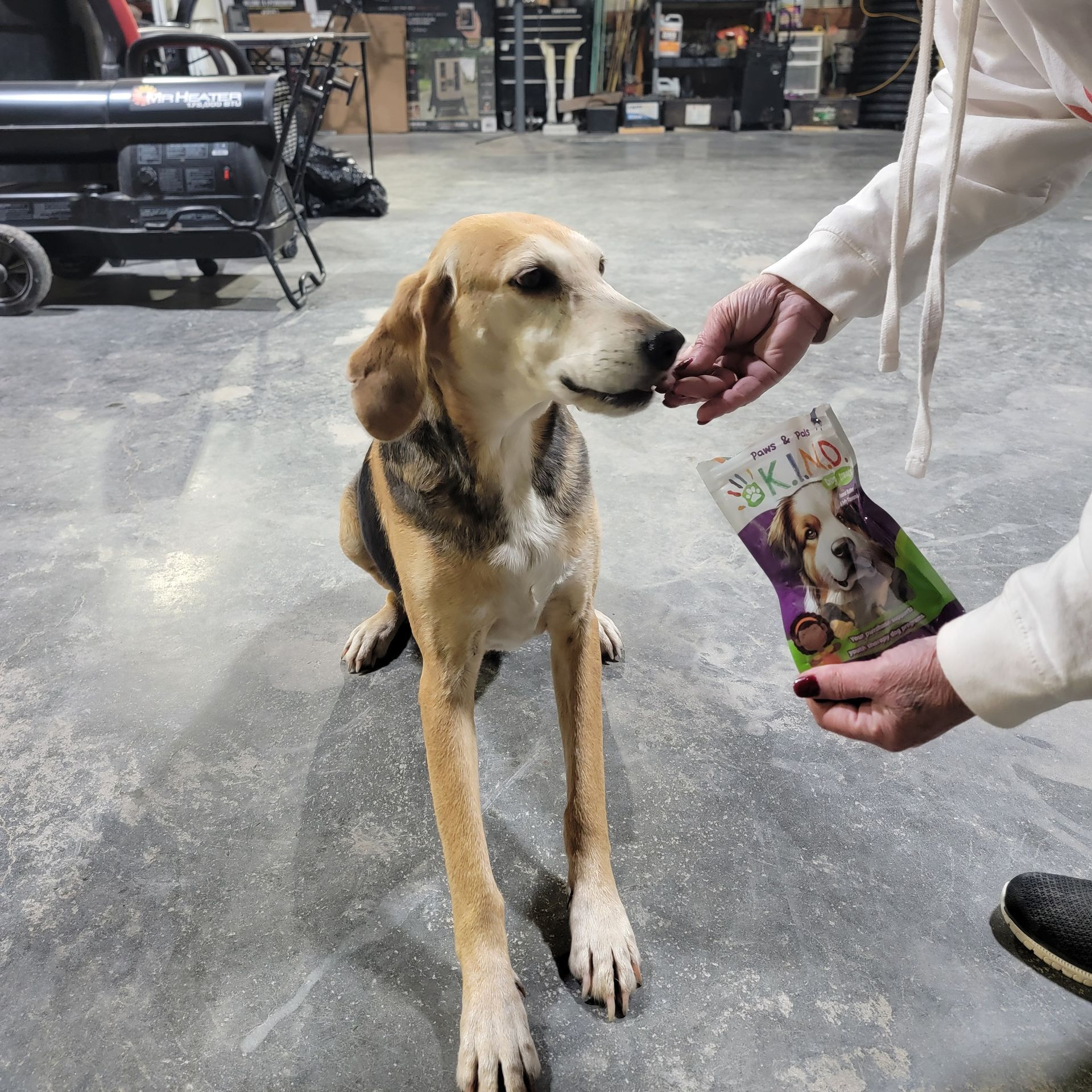 A person is feeding a dog a bag of dog treats