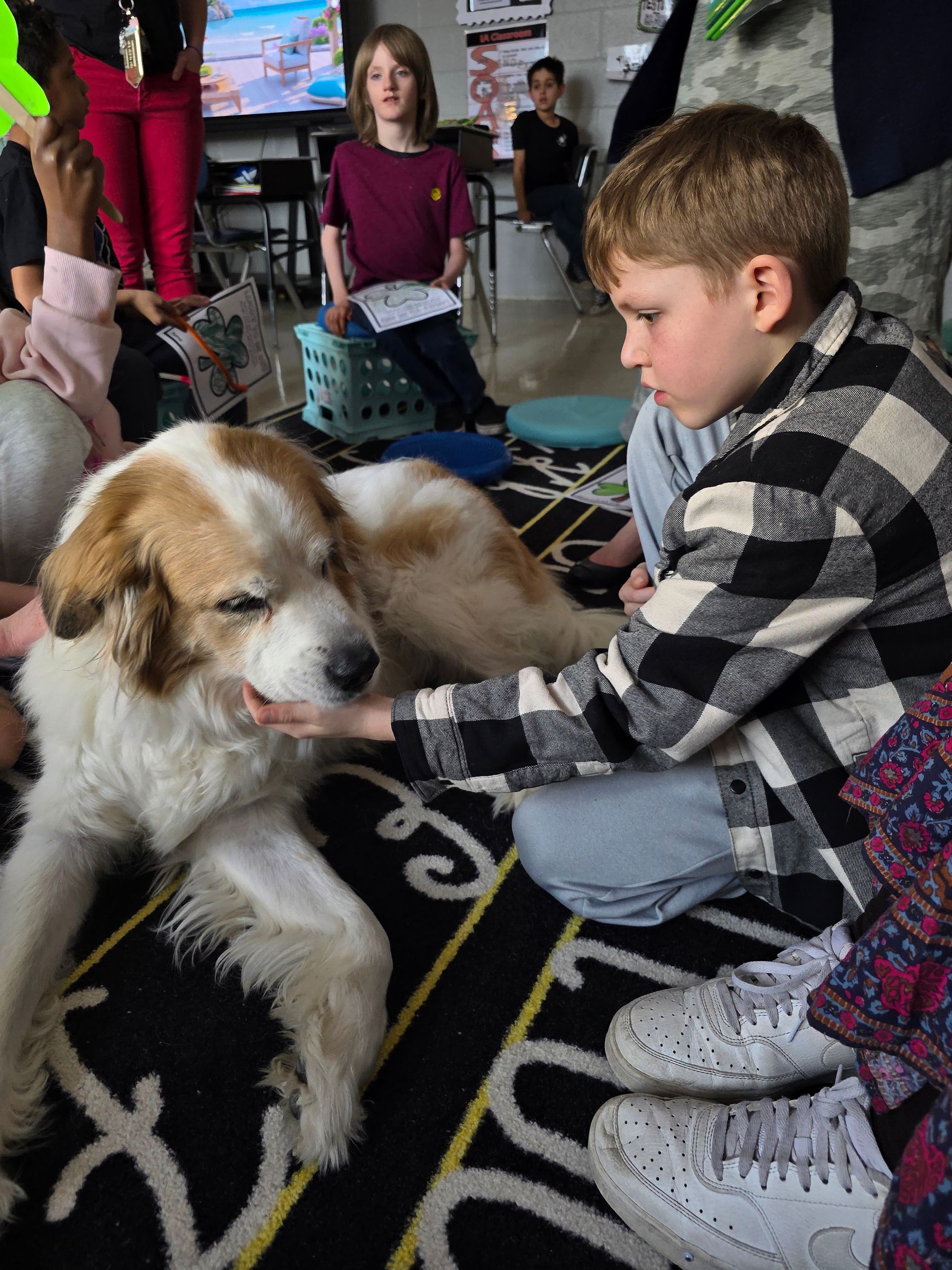 Two young boys are kneeling next to a dog in a classroom.