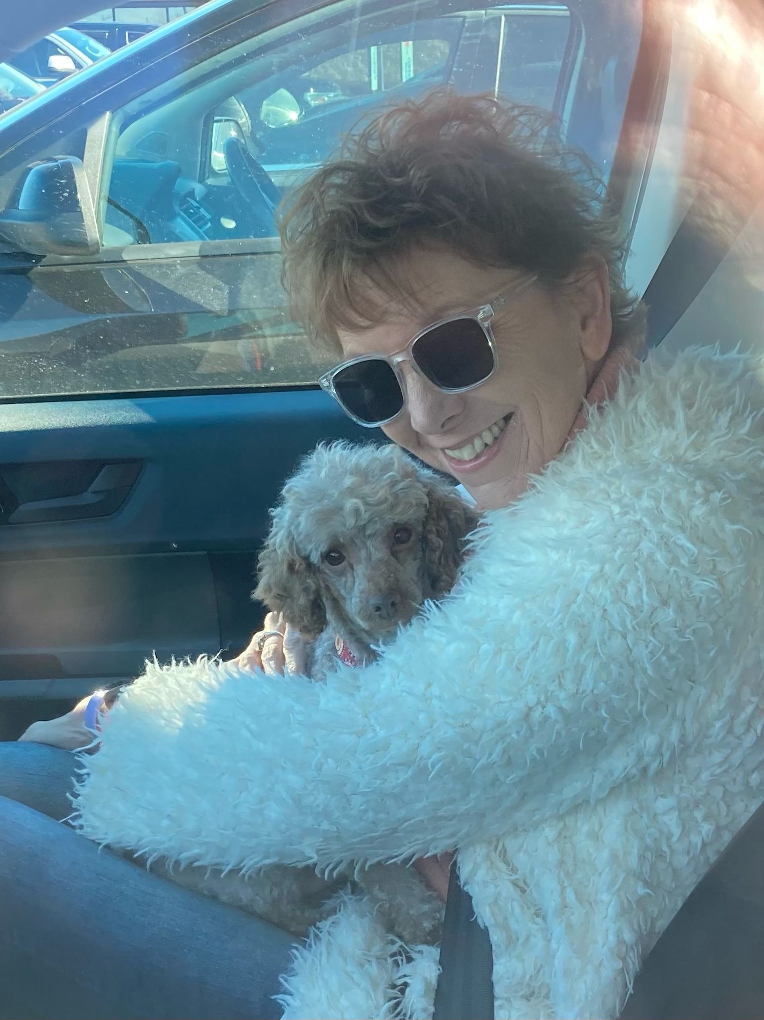 A woman is sitting in a car holding a small poodle.