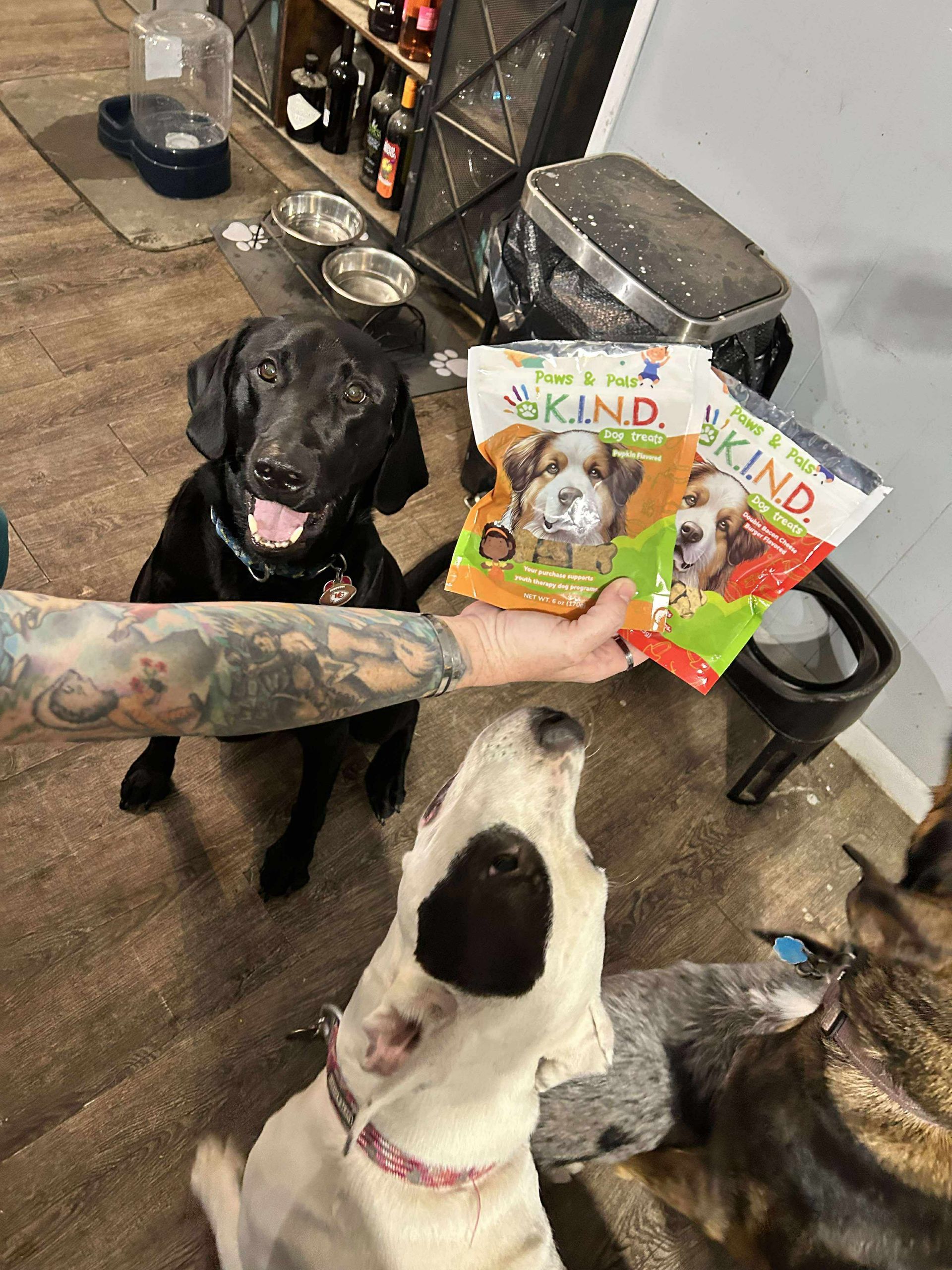 A little girl is standing next to a dog holding a bag of dog food.