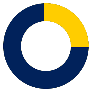 Donut chart: 75% blue, 25% yellow.
