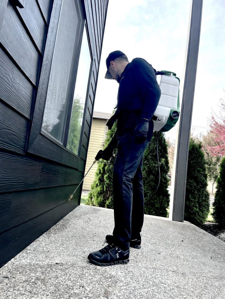reliable pest control technician in Everett, WA