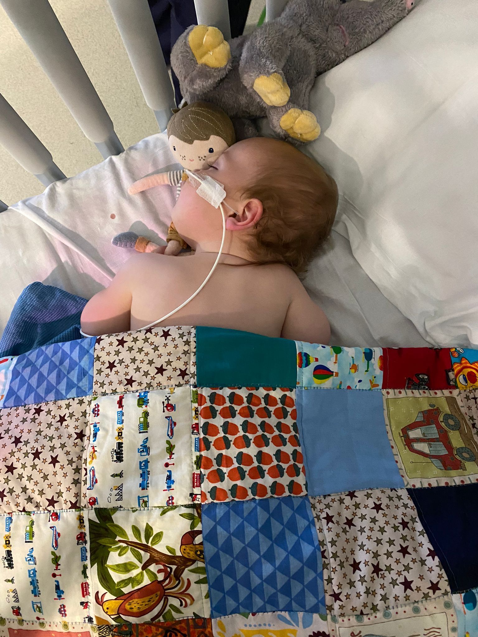 A baby is laying in a crib with a stuffed animal and a blanket.