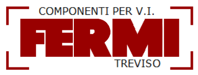 FERMI - LOGO