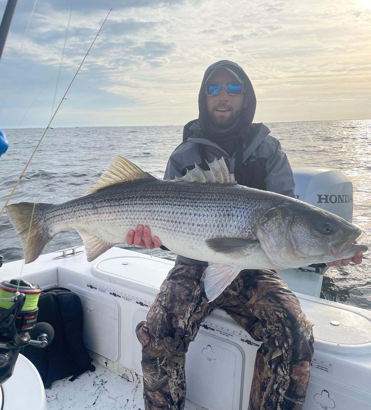 A man is sitting on a boat holding a large fish.