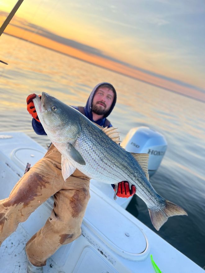 A person is holding a fish with a hook in its mouth.