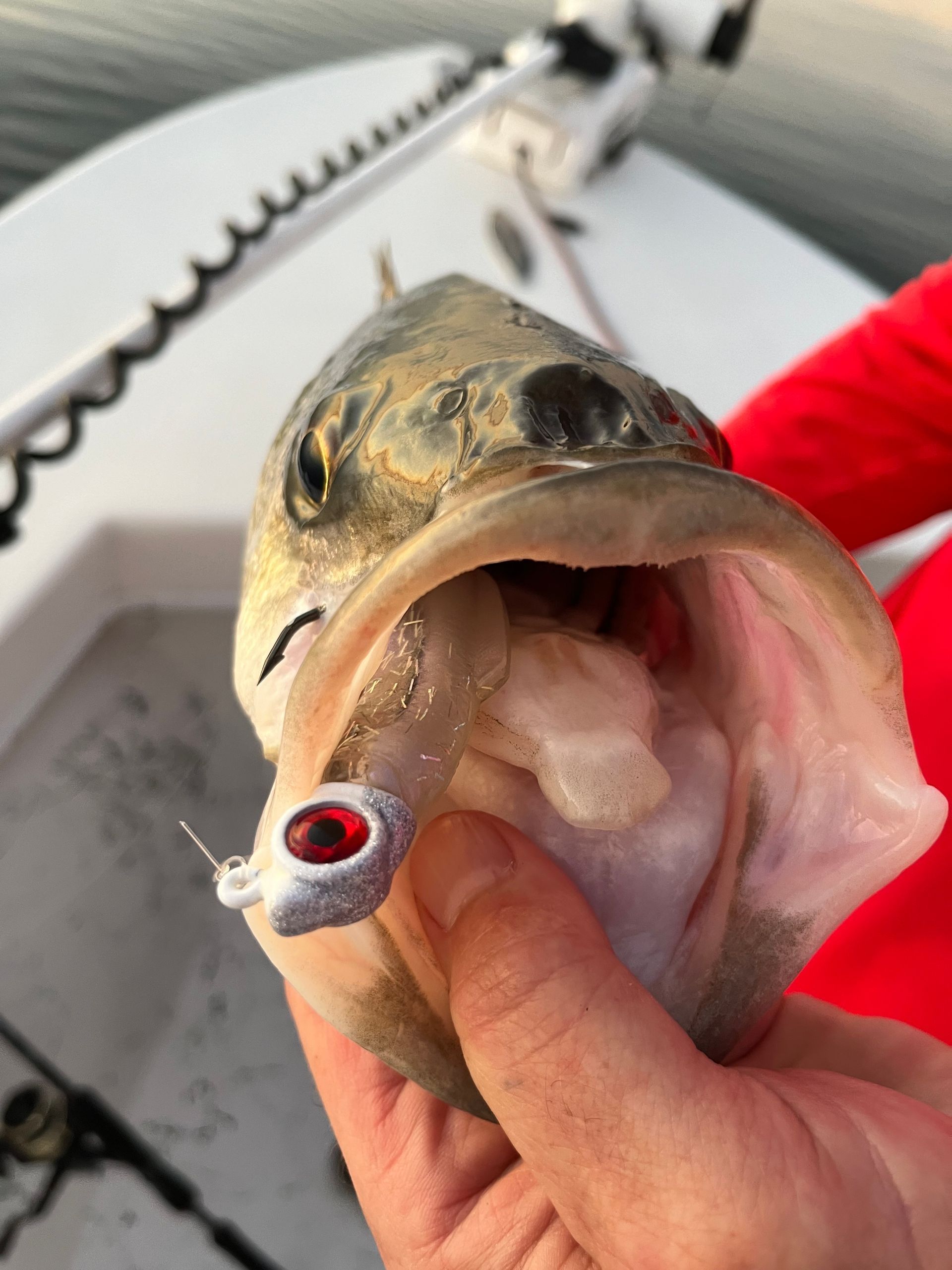 Man on a boat holding a large striped bass. He's wearing sunglasses and a jacket, with the ocean and engine visible.