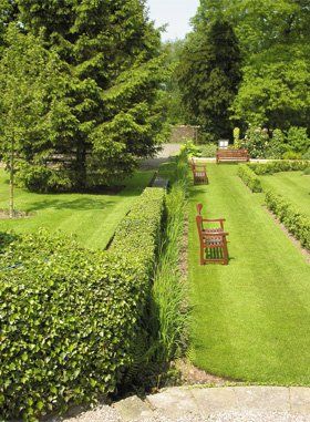 Gardening and landscaping - Rigside, Lanarkshire - Handy Trades 4 U - garden
