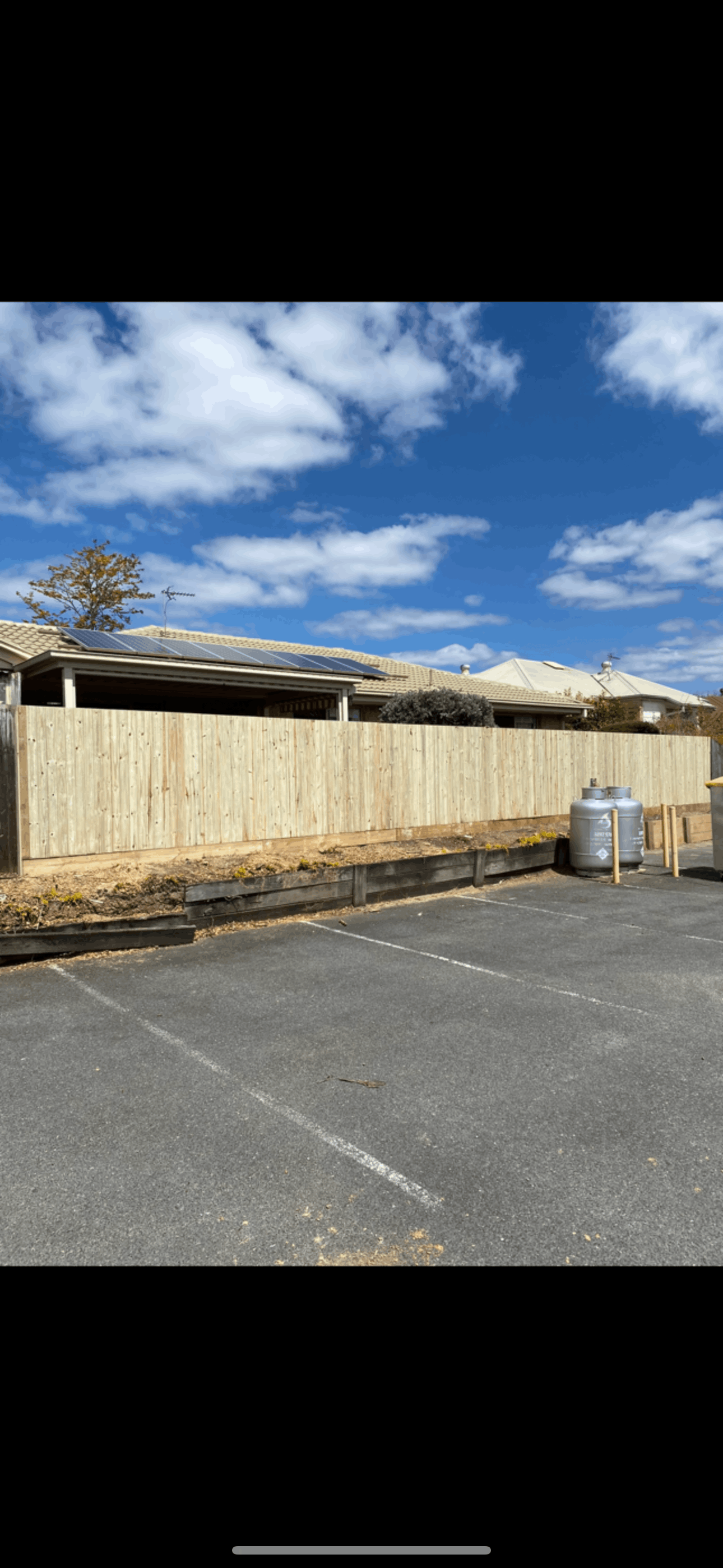 A backyard with a wooden fence and flowers.