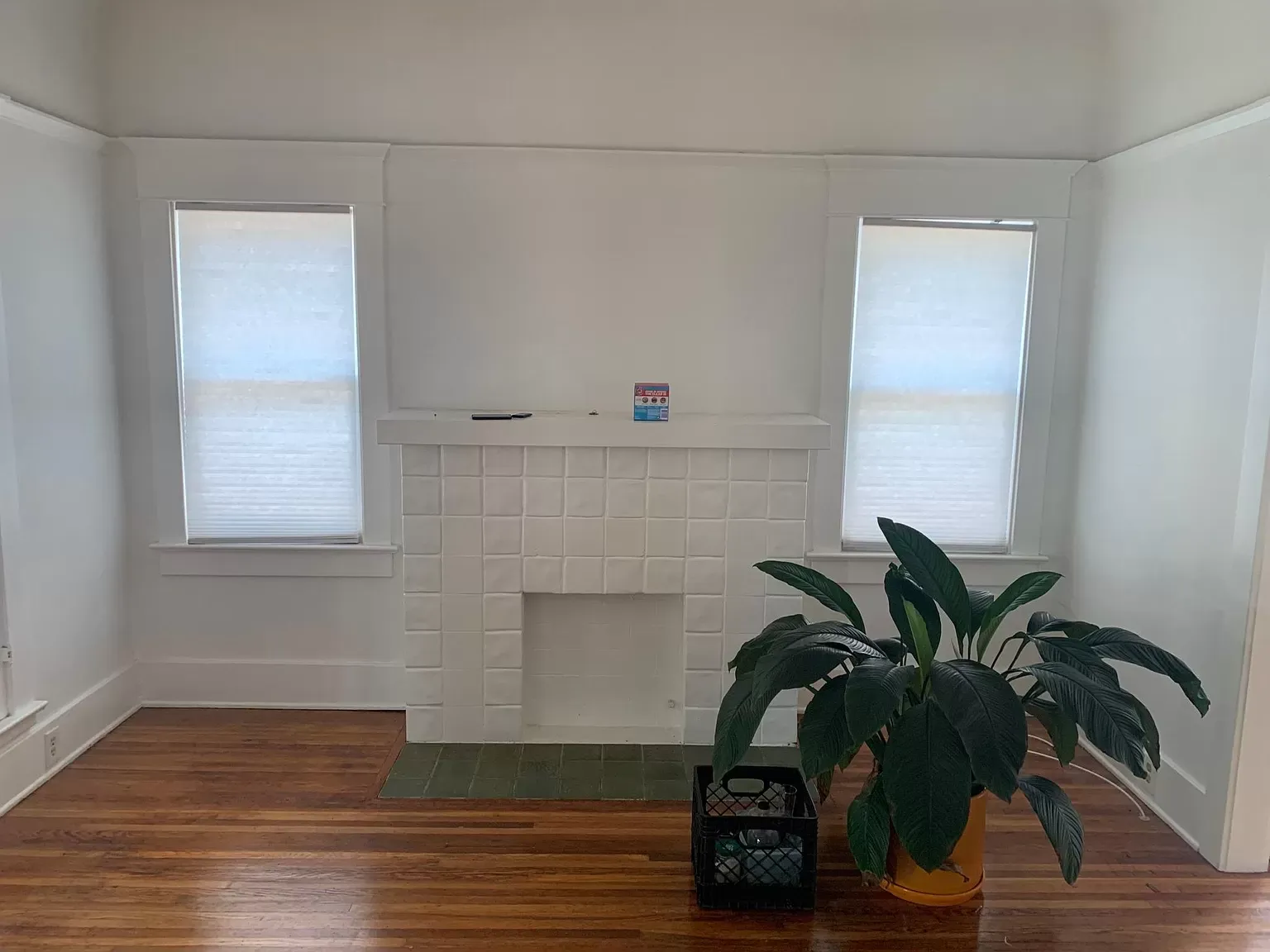 816-818 N Lafayette E Park Fireplace