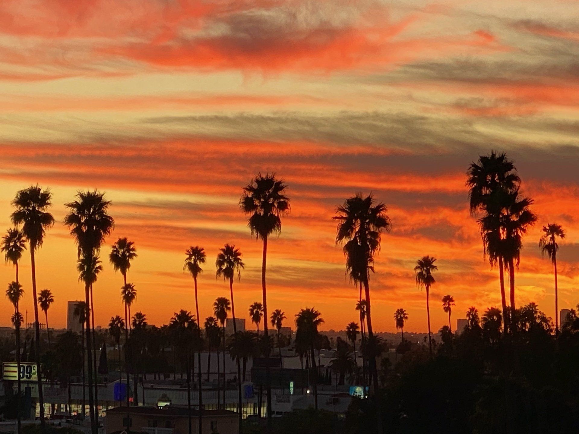 Los Angeles Sunset