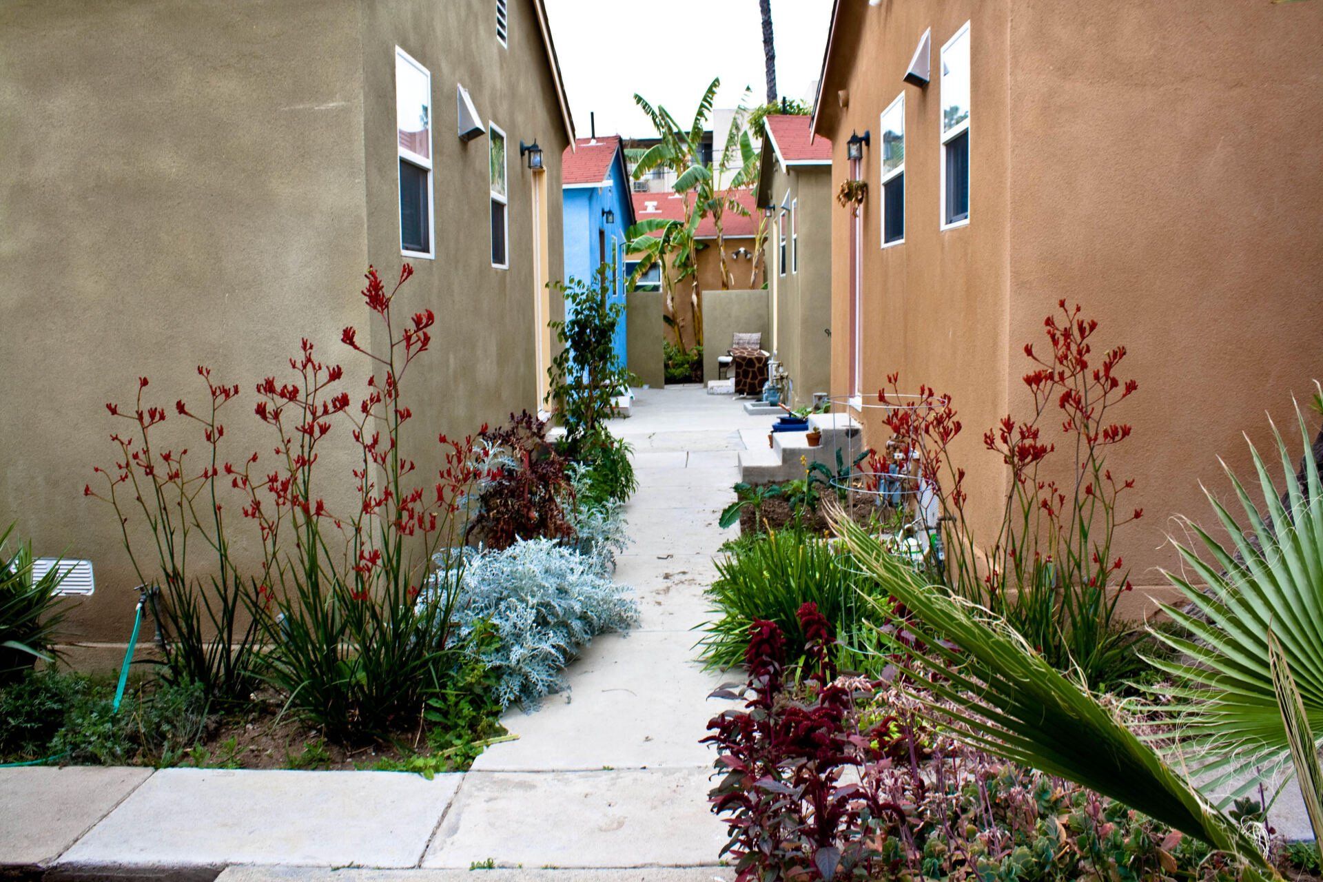 Harvard Court Bungalows