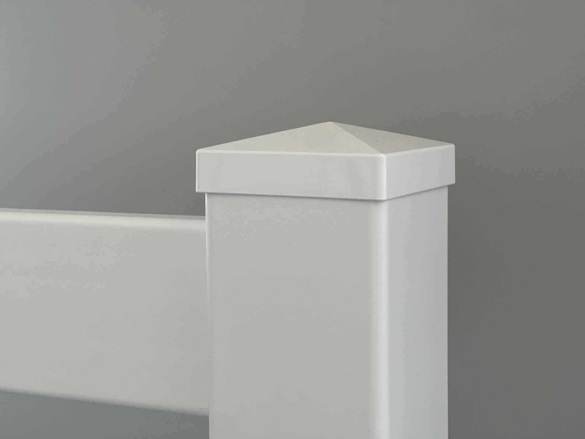 A lizard is sitting on top of a white fence post.