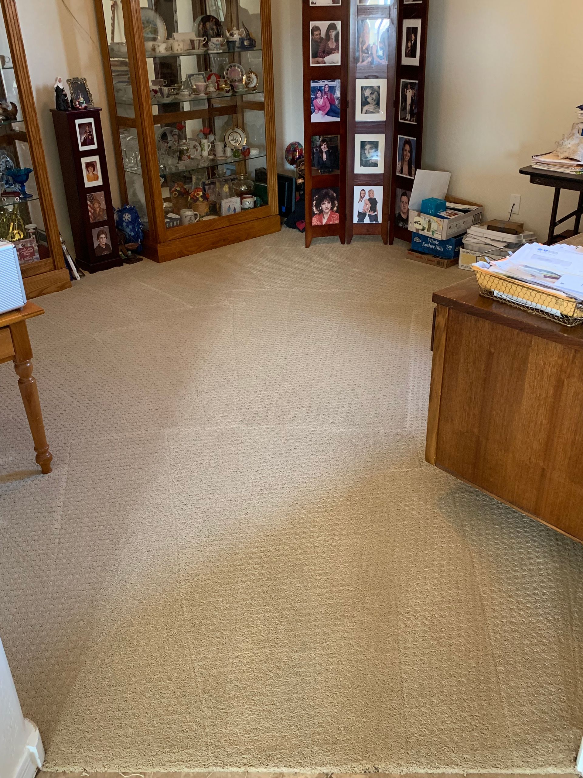 carpet cleaning after