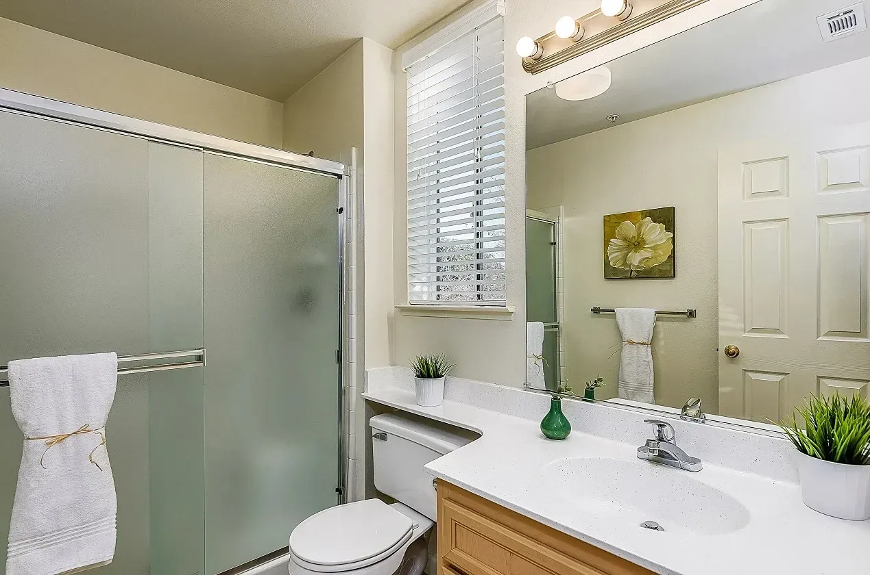 Bathroom with frosted glass shower, toilet, vanity with sink, and mirror.