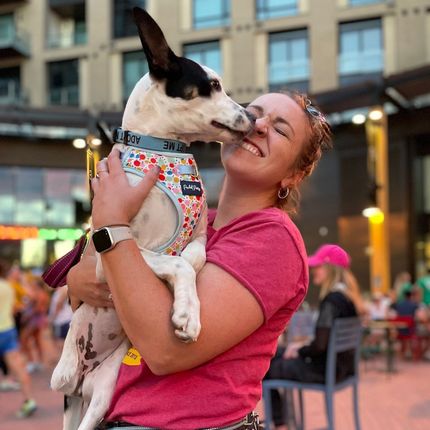 Soul Dog Rescue