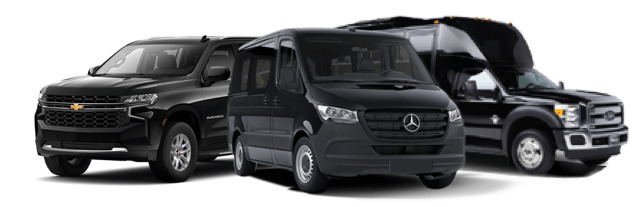 guided wine tour transportation