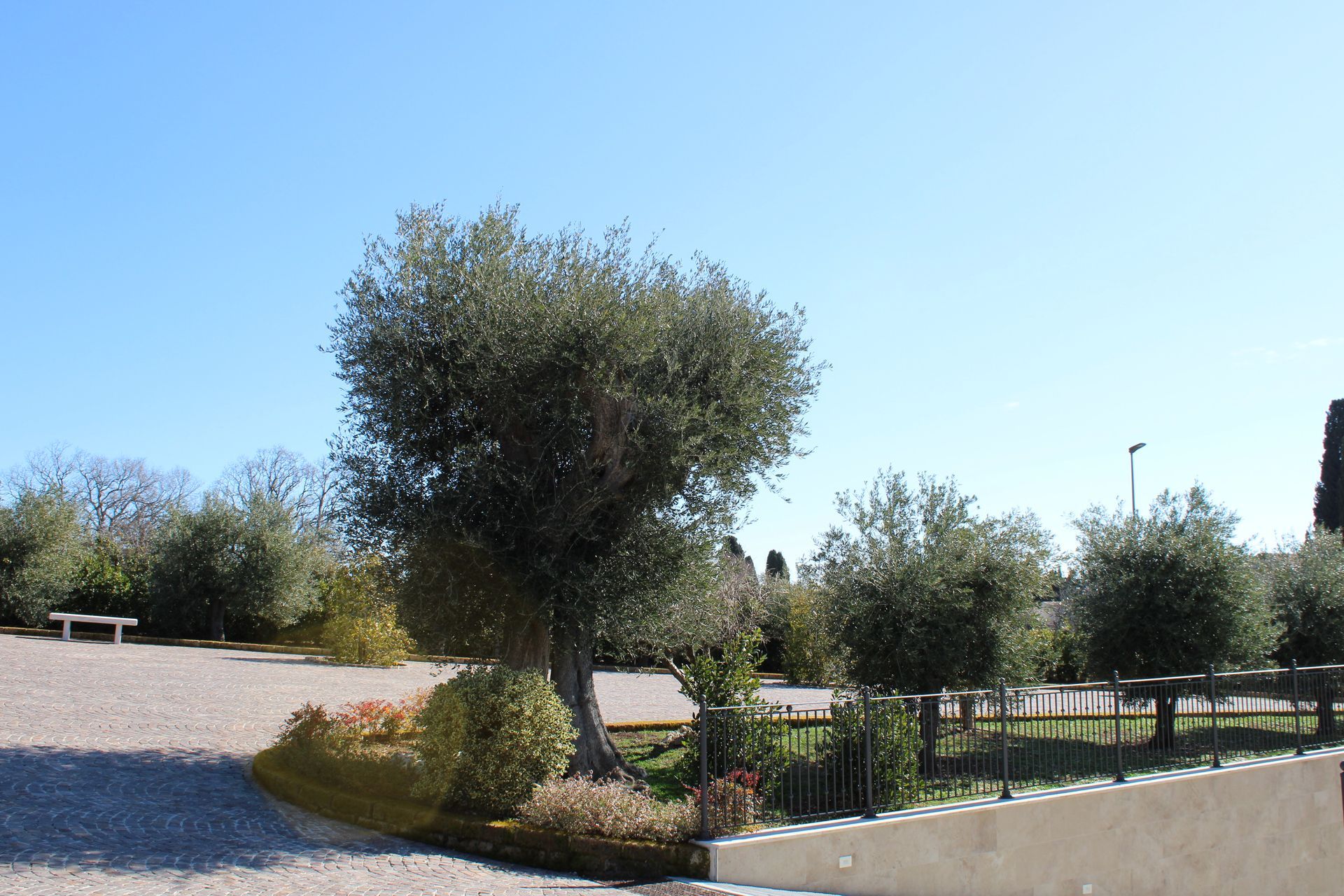 giardino casa del commiato