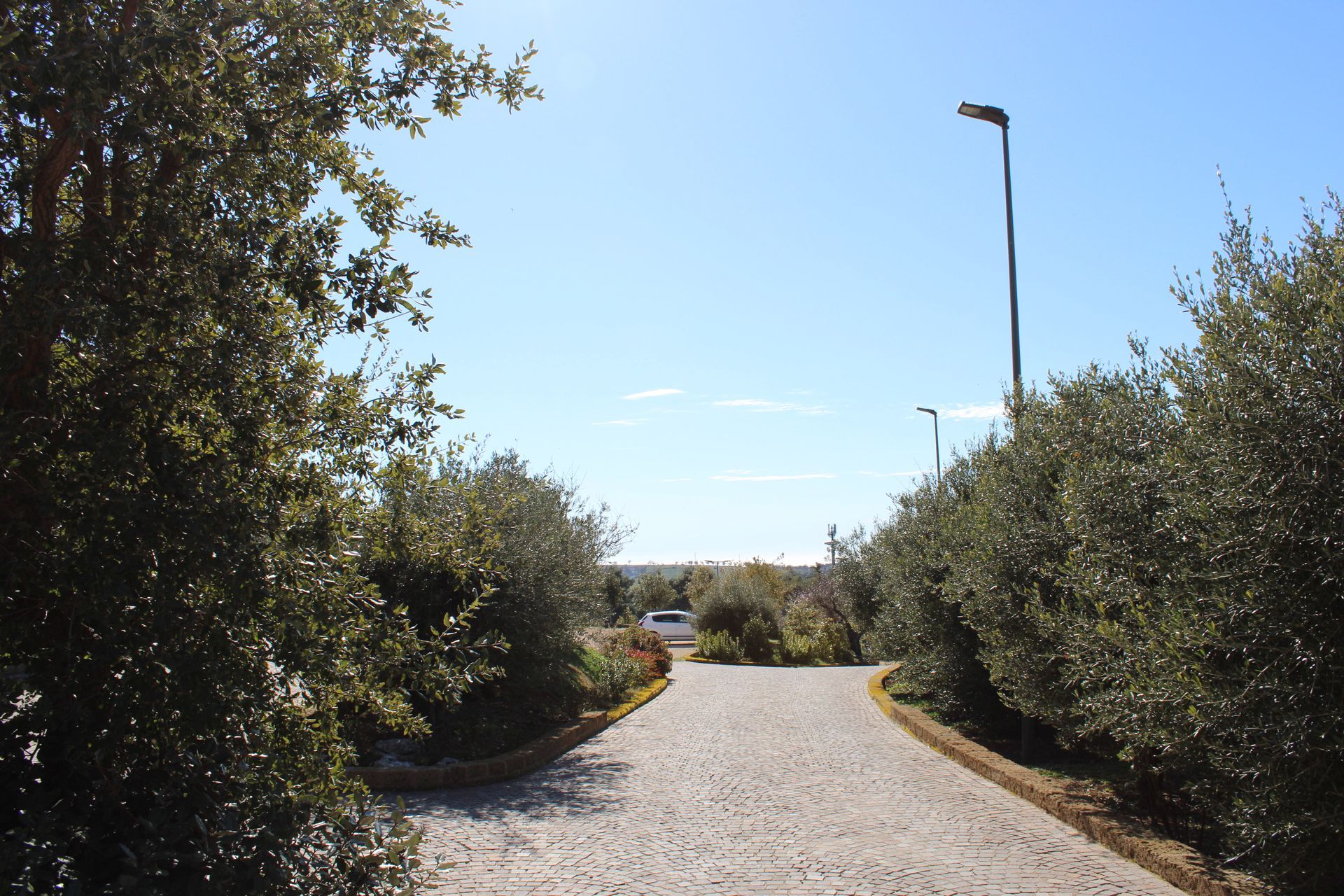 giardino casa del commiato