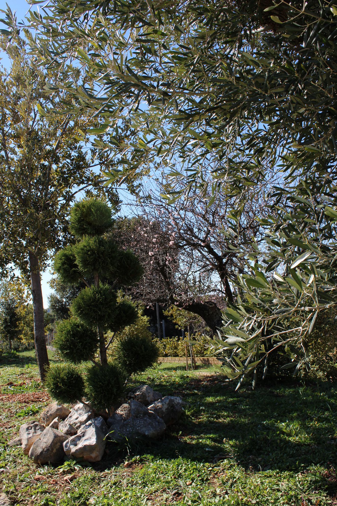 giardino casa del commiato