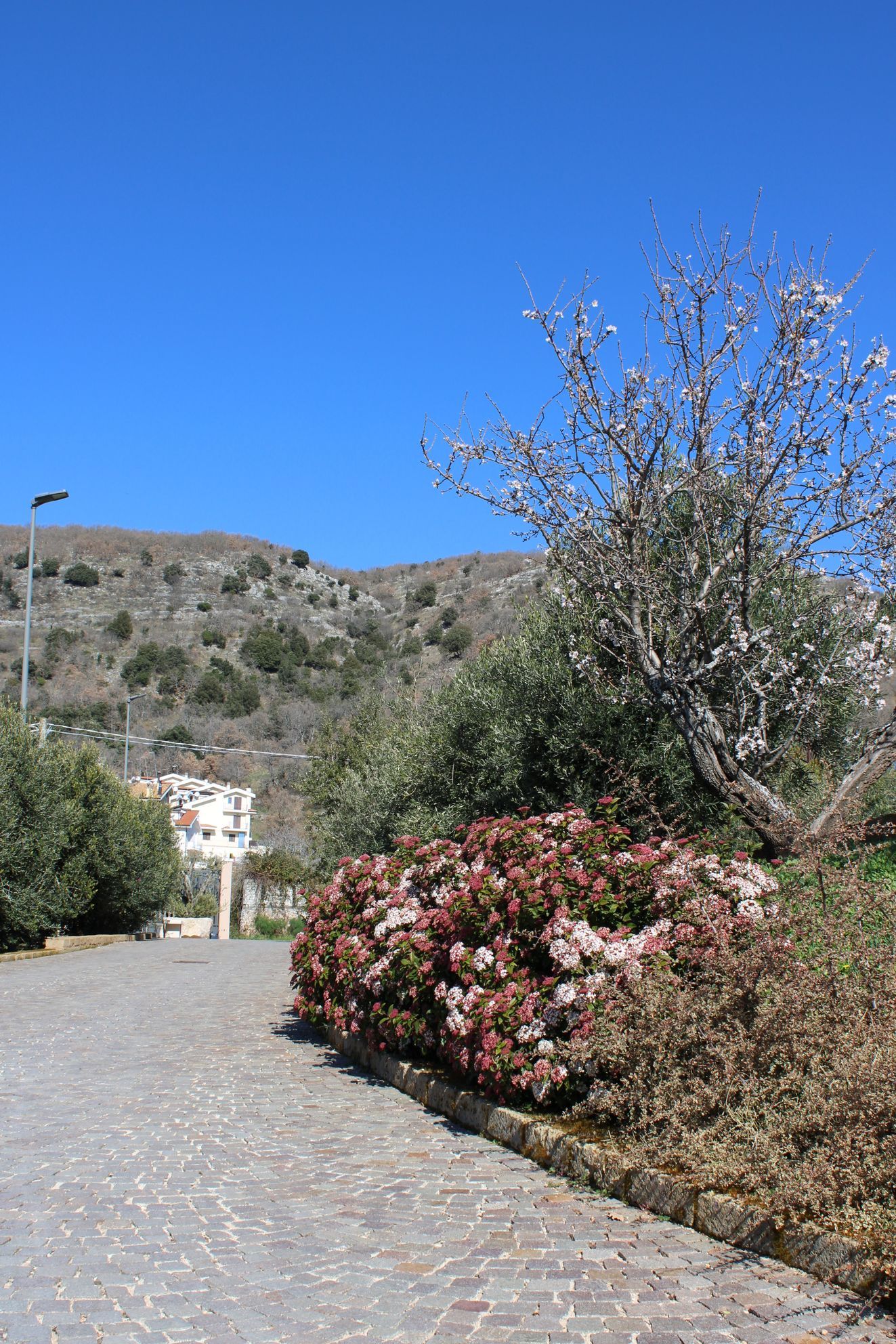 giardino casa del commiato
