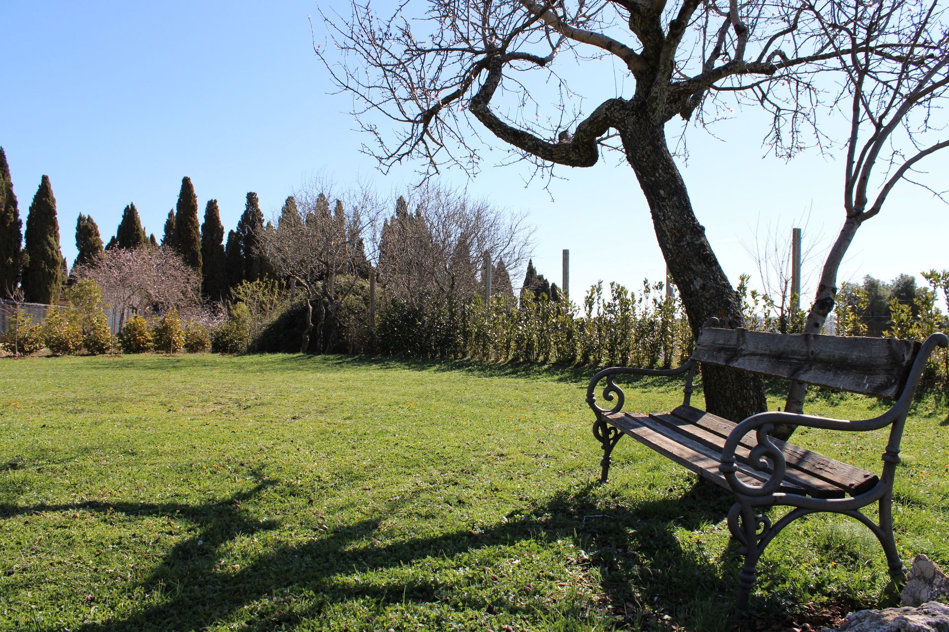 giardino casa del commiato