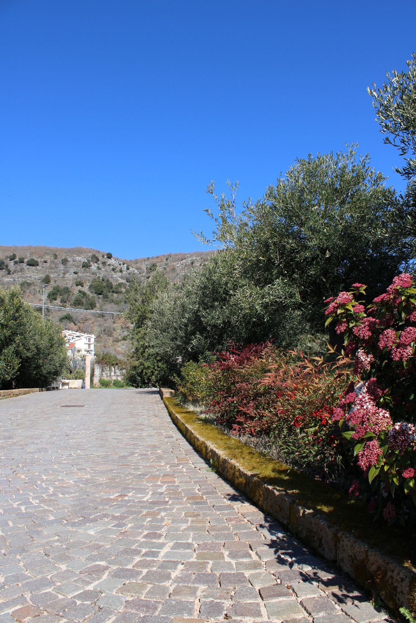 giardino casa del commiato